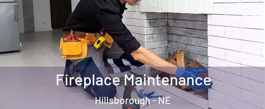 Fireplace Maintenance Hillsborough - NE