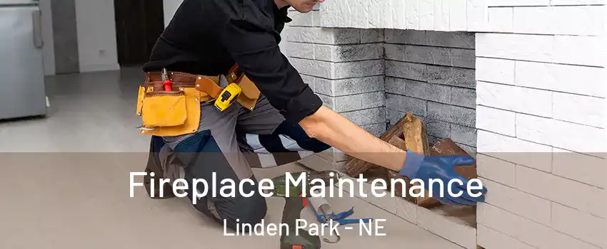 Fireplace Maintenance Linden Park - NE