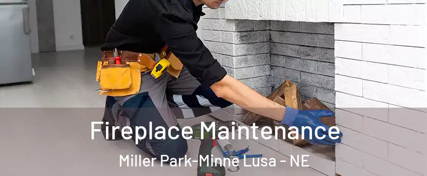 Fireplace Maintenance Miller Park-Minne Lusa - NE