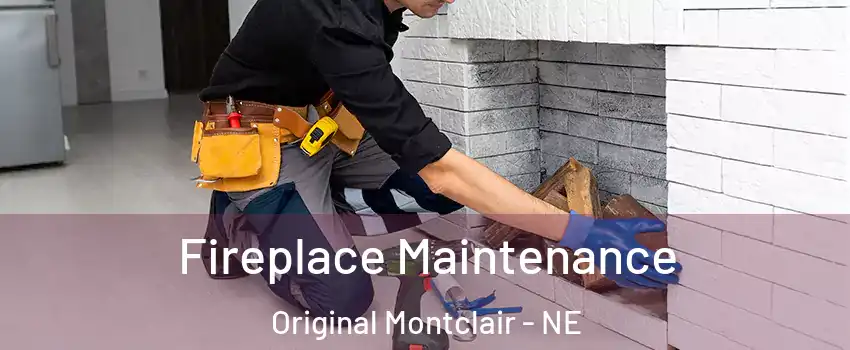 Fireplace Maintenance Original Montclair - NE