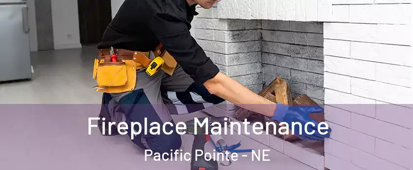 Fireplace Maintenance Pacific Pointe - NE