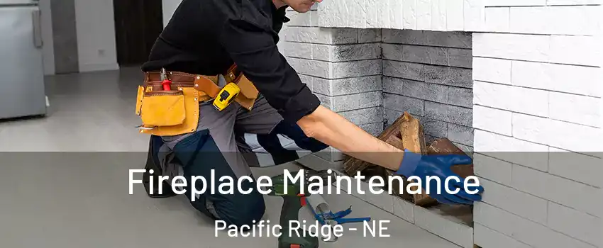 Fireplace Maintenance Pacific Ridge - NE