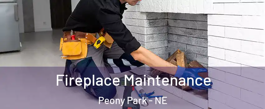 Fireplace Maintenance Peony Park - NE