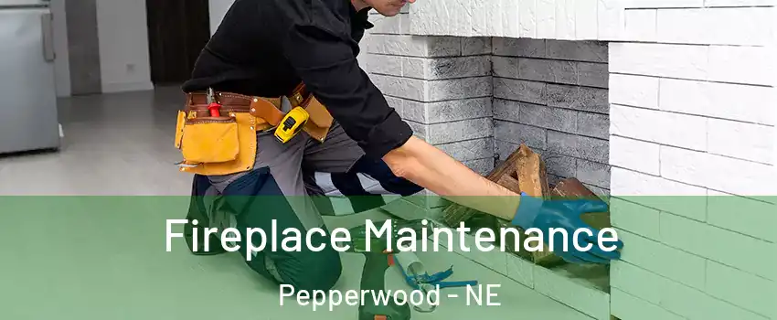 Fireplace Maintenance Pepperwood - NE