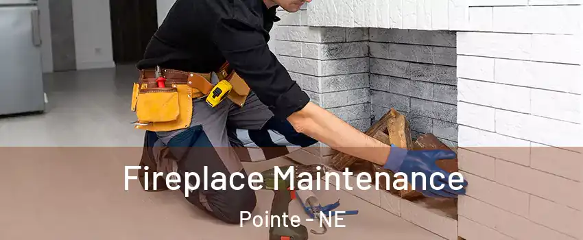 Fireplace Maintenance Pointe - NE