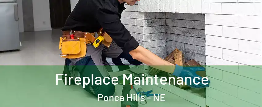 Fireplace Maintenance Ponca Hills - NE