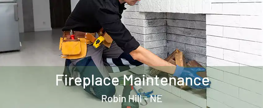 Fireplace Maintenance Robin Hill - NE
