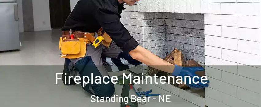 Fireplace Maintenance Standing Bear - NE
