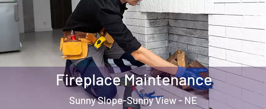 Fireplace Maintenance Sunny Slope-Sunny View - NE