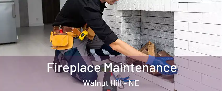 Fireplace Maintenance Walnut Hill - NE