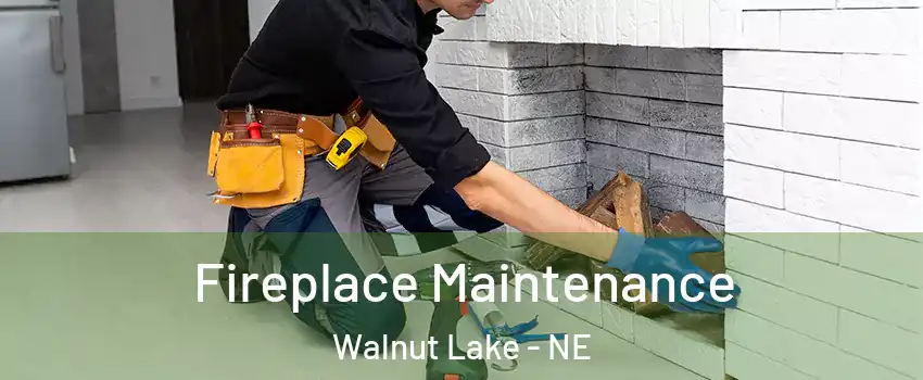 Fireplace Maintenance Walnut Lake - NE