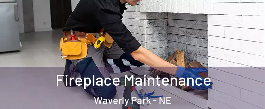 Fireplace Maintenance Waverly Park - NE