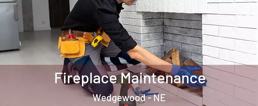 Fireplace Maintenance Wedgewood - NE