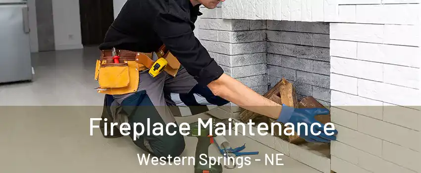 Fireplace Maintenance Western Springs - NE