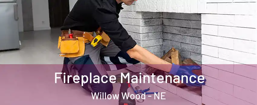 Fireplace Maintenance Willow Wood - NE