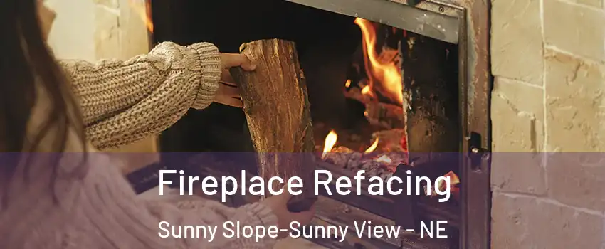 Fireplace Refacing Sunny Slope-Sunny View - NE