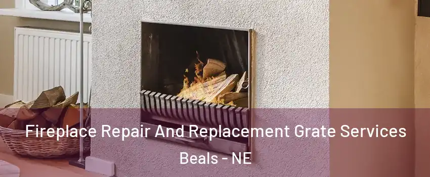 Fireplace Repair And Replacement Grate Services Beals - NE