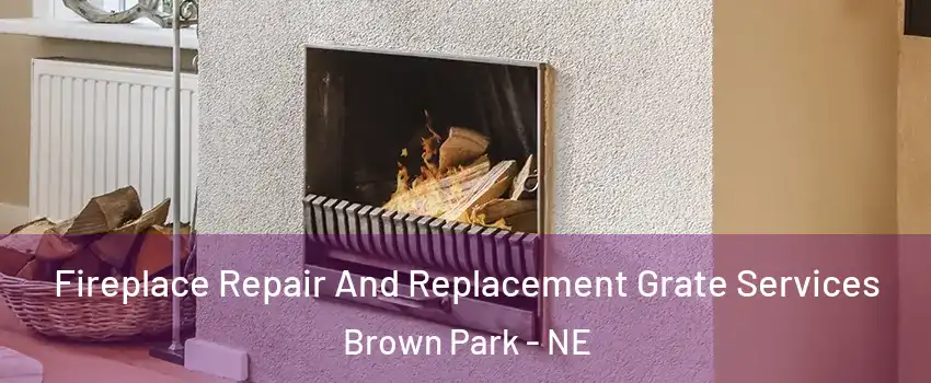 Fireplace Repair And Replacement Grate Services Brown Park - NE