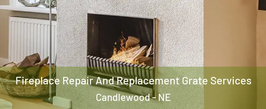 Fireplace Repair And Replacement Grate Services Candlewood - NE