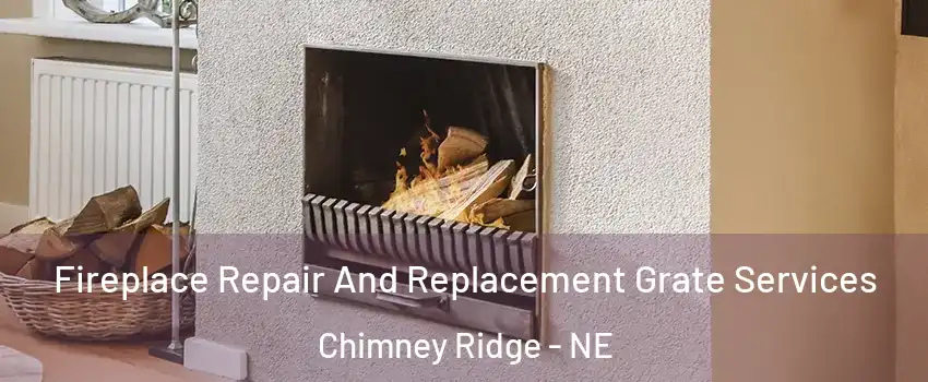 Fireplace Repair And Replacement Grate Services Chimney Ridge - NE