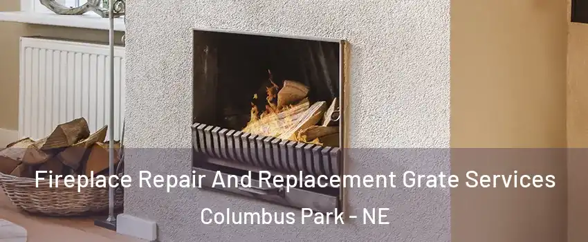 Fireplace Repair And Replacement Grate Services Columbus Park - NE