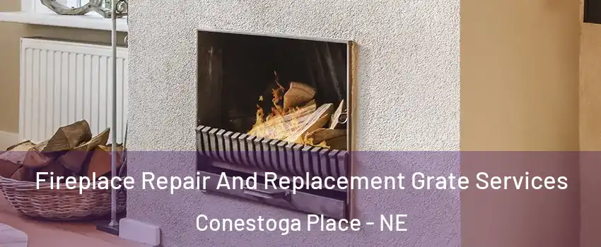 Fireplace Repair And Replacement Grate Services Conestoga Place - NE
