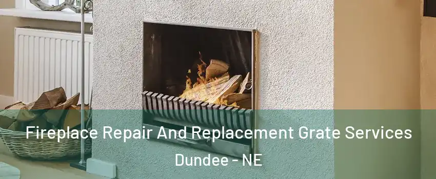 Fireplace Repair And Replacement Grate Services Dundee - NE