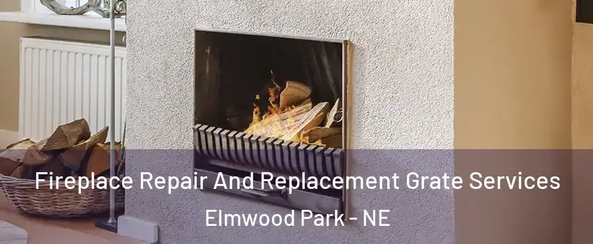 Fireplace Repair And Replacement Grate Services Elmwood Park - NE