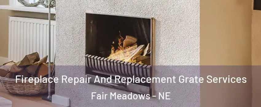 Fireplace Repair And Replacement Grate Services Fair Meadows - NE