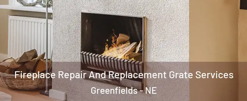 Fireplace Repair And Replacement Grate Services Greenfields - NE