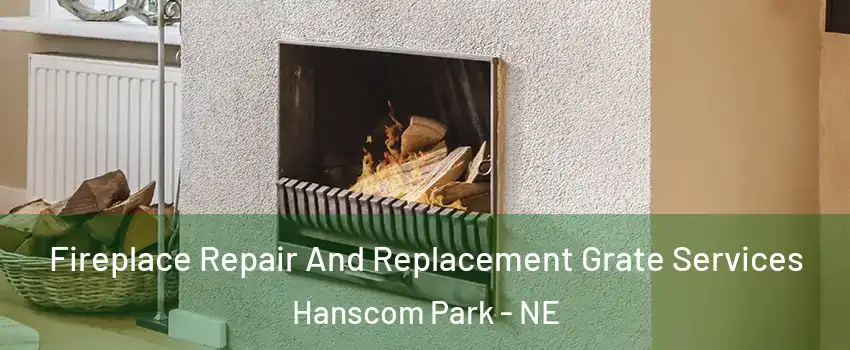 Fireplace Repair And Replacement Grate Services Hanscom Park - NE