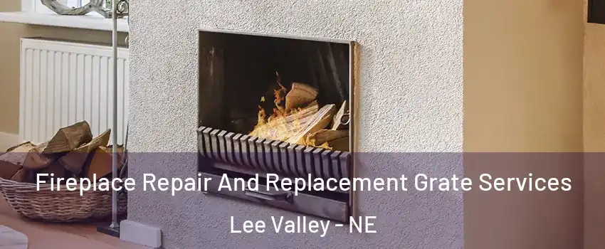 Fireplace Repair And Replacement Grate Services Lee Valley - NE