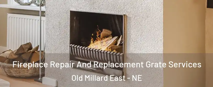 Fireplace Repair And Replacement Grate Services Old Millard East - NE