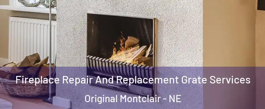 Fireplace Repair And Replacement Grate Services Original Montclair - NE