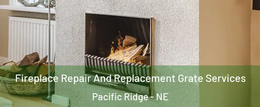 Fireplace Repair And Replacement Grate Services Pacific Ridge - NE