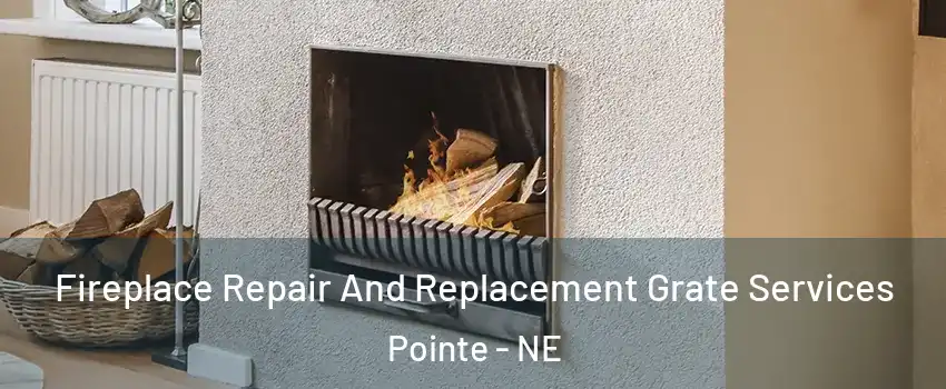 Fireplace Repair And Replacement Grate Services Pointe - NE
