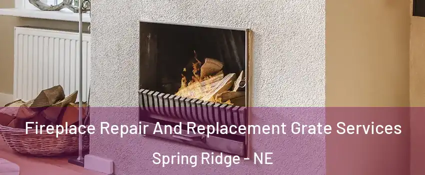 Fireplace Repair And Replacement Grate Services Spring Ridge - NE