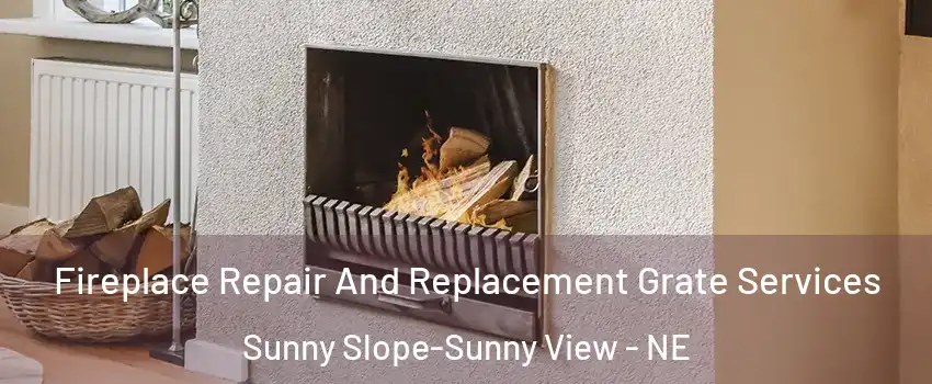 Fireplace Repair And Replacement Grate Services Sunny Slope-Sunny View - NE