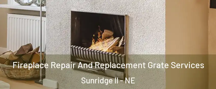 Fireplace Repair And Replacement Grate Services Sunridge II - NE