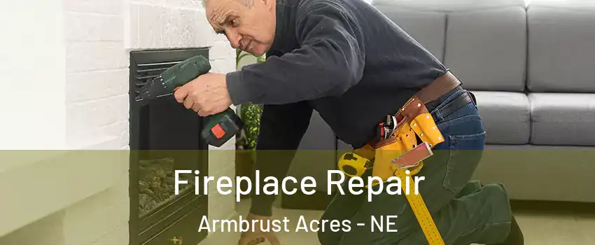 Fireplace Repair Armbrust Acres - NE
