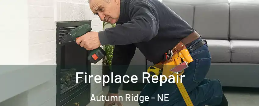 Fireplace Repair Autumn Ridge - NE
