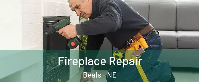 Fireplace Repair Beals - NE