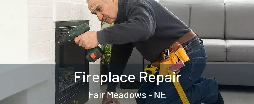 Fireplace Repair Fair Meadows - NE