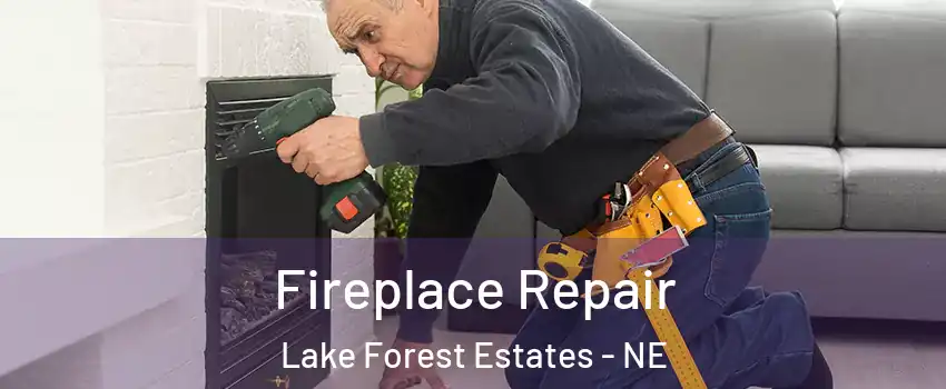 Fireplace Repair Lake Forest Estates - NE