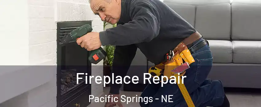 Fireplace Repair Pacific Springs - NE