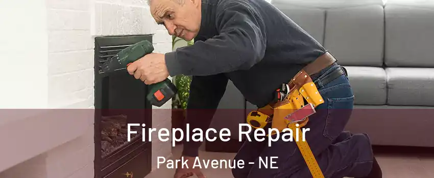 Fireplace Repair Park Avenue - NE