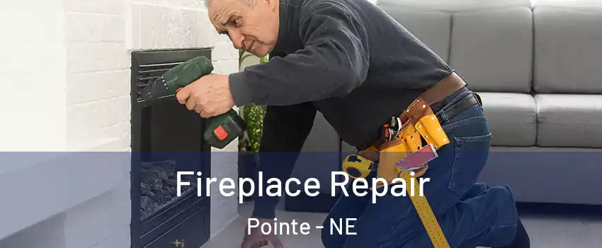 Fireplace Repair Pointe - NE