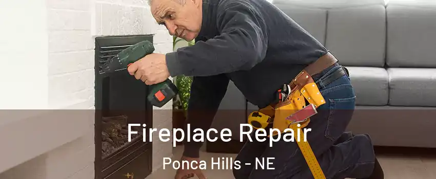 Fireplace Repair Ponca Hills - NE