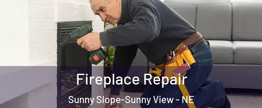 Fireplace Repair Sunny Slope-Sunny View - NE