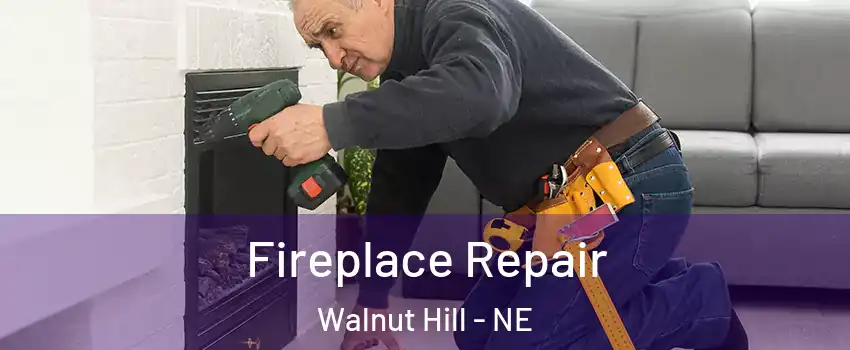 Fireplace Repair Walnut Hill - NE